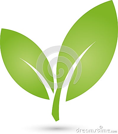 Two leaves, plant in green, spa and gardener logo, icon Stock Photo