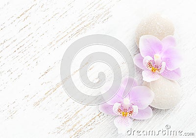 Two light pink orchids and stones on wooden shabby background Stock Photo