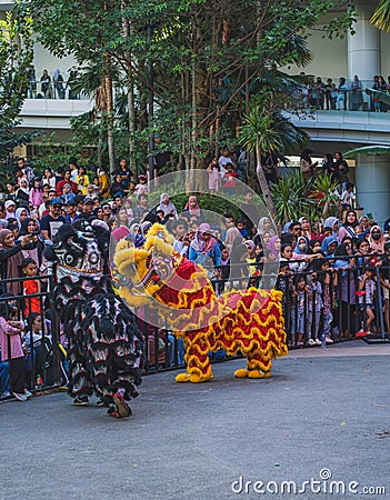 two lion dances entertain the nearest crowd in Balikpapan plaza mall Editorial Stock Photo