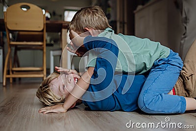 Two little boys fighting on the floor, brothers having fun at home. Concept of sibling relationship and brotherly love. Stock Photo