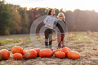 Two little boys having fun in a pumpkin patch Stock Photo
