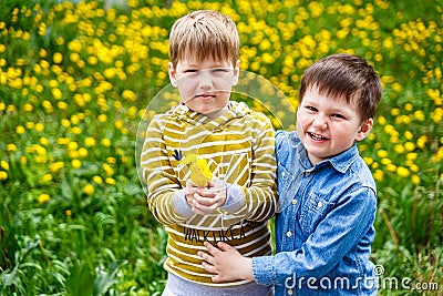 Two little boys hugging on the dandelion lawn Stock Photo