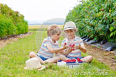 Two little friends, kid boys having fun on raspberry farm Stock Photo