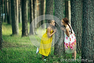 Two little girl friends play in a pine Park. Walk. Stock Photo