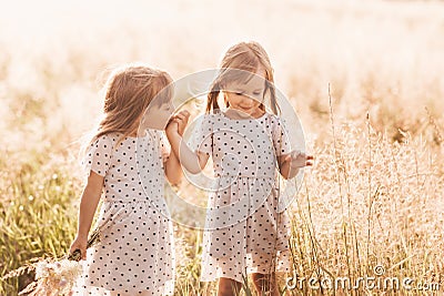 Two little happy identical twin girls playing together in nature in summer. Girls friendship and youth concept. Active children`s Stock Photo