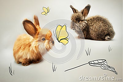 Two little rabbits with illustrations of a butterfly and a sap. Cartoon Illustration