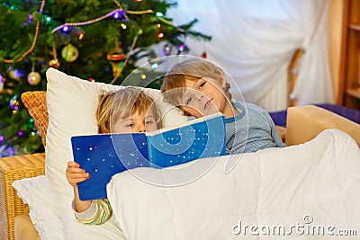 Two little sibling boys reading book on Christmas Stock Photo