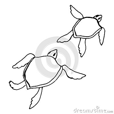 Two little turtles black outlines vector EPS Vector Illustration