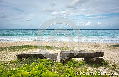 Two lonely benches Stock Photo