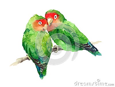 Two Lovebirds Watercolor Exotic Bird Love Illustration Hand Drawn Cartoon Illustration