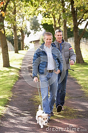 Two Male Friends Walking Dog Outdoors Stock Photo