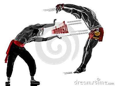 Two manga video games martial arts fighters fighting Stock Photo