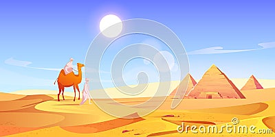 Two men and camel in Egyptian desert with pyramids Vector Illustration