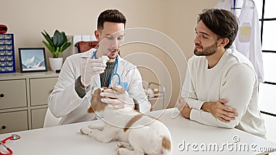 Two men examining dog cleaning ears at veterinary clinic Stock Photo