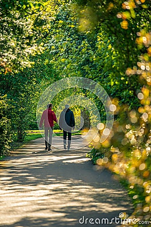 Two men waling along an alley with fresh spring leaves glowing i Editorial Stock Photo