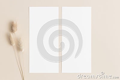 Two menu cards mockup with a lagurus deocoration, 4x9 ratio Stock Photo