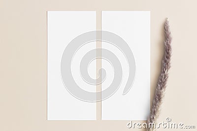 Two menu cards mockup with a pampas deocoration, 4x9 ratio Stock Photo