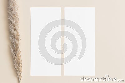 Two menu cards mockup with a pampas deocoration, 4x9 ratio Stock Photo