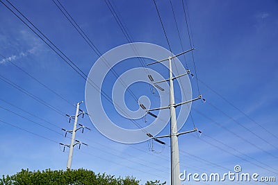 Two Metal Power line Poles above the trees Stock Photo