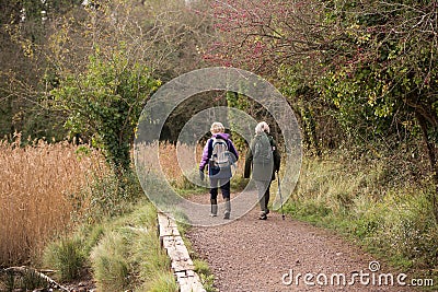 25/11/2020 Portsmouth, Hampshire, UK Two middle aged women walking or trekking through a woodland track in autumn Editorial Stock Photo