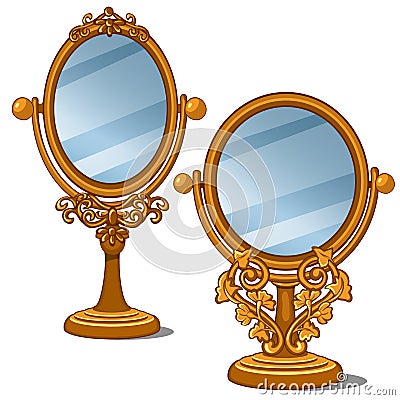 Two mirrors with golden frame and petal ornament Vector Illustration