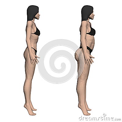 Two model girls in underwear, a slim and fat girl. The process of obesity of the girl body. Side view. 3D. Vector Vector Illustration