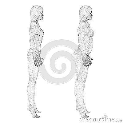 Two models of a wireframe girl in underwear, a slim and fat girl. The process of obesity of the girl body. Side view. 3D Vector Illustration