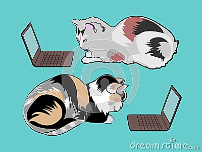 Two multicolored cats in front of laptops. Vector Illustration