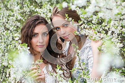 Two nice caucasian ladies Stock Photo