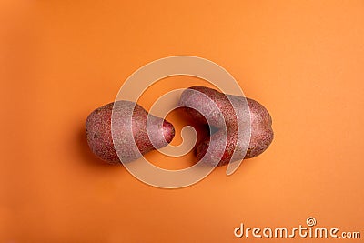 Two non-standard ugly fresh raw potato unusual form lying on orange background. Waste zero food. Top view, copy space Stock Photo