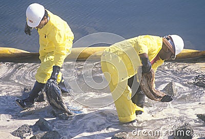 Two oil cleanup workers wade in oily water between a yellow oil barrier and a rocky shoreline clearing up oil with absorbent mater Editorial Stock Photo