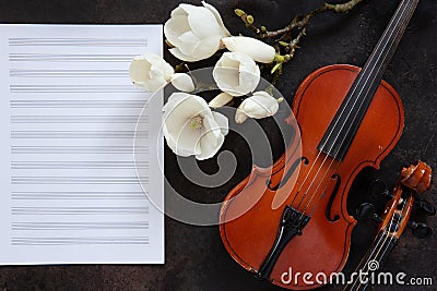 Two Old violins and blossoming magnolia brances on the white note paper. Top view, close-up Stock Photo