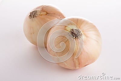 Two onion view Stock Photo