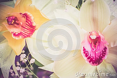 Two Orchid closeup of a bouquet of three orchids beautifully decorated on wooden background concept birthday flowers Stock Photo