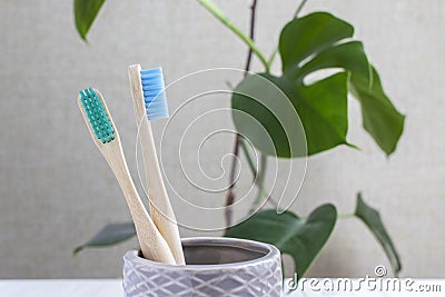 Two organic bamboo toothbrushes in ceramic holder. Stock Photo