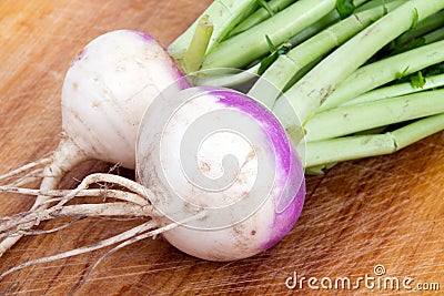 Two organic purple top turnip Stock Photo