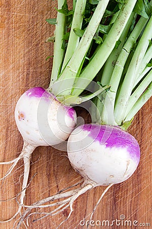 Two organic purple top turnip Stock Photo