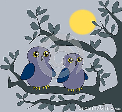 Two Owls Stock Photo