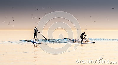 Two Paddle Boarders Stock Photo