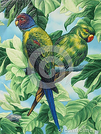 Two painted parrots Stock Photo
