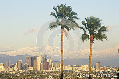 Two palm trees, Los Angeles and snowy Mount Baldy as seen from the Baldwin Hills, Los Angeles, California Editorial Stock Photo