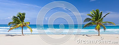 Two palm trees on the tropical beach Stock Photo