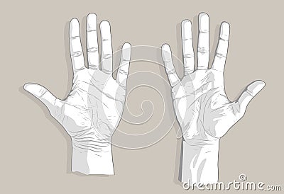 Two palms sketch Vector Illustration