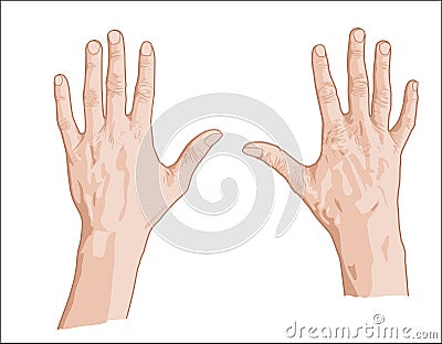 Two palms sketch Vector Illustration