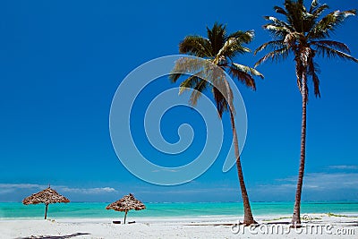 Two palms and two deck chairs Stock Photo