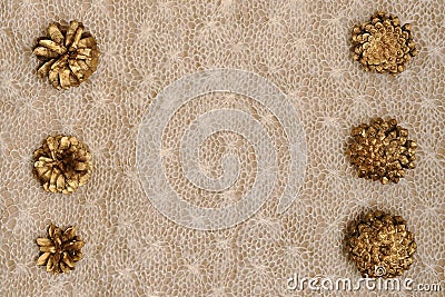 Two parallel vertical rows of golden cones, at the top of the face, at the bottom of the cutting on the knitted canvas Stock Photo