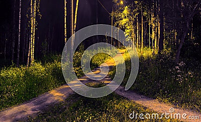 Two paths among grass and trees merged into one. Night view in the park with electric lighting of lanterns Stock Photo