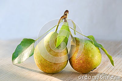 Two pears on one stalk with leaves. With drops of water, lit by the sun on wooden background. Paired fruits Stock Photo