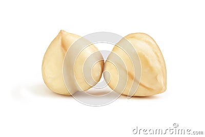 Two peeled hazelnuts on a white background Stock Photo