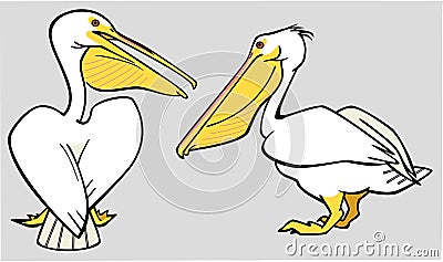 Two Pelicans Vector Illustration